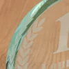 placas-trofeo-cristal-personalizadas (7)