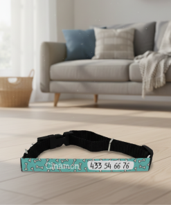 Collar perro personalizado - Imagen 3
