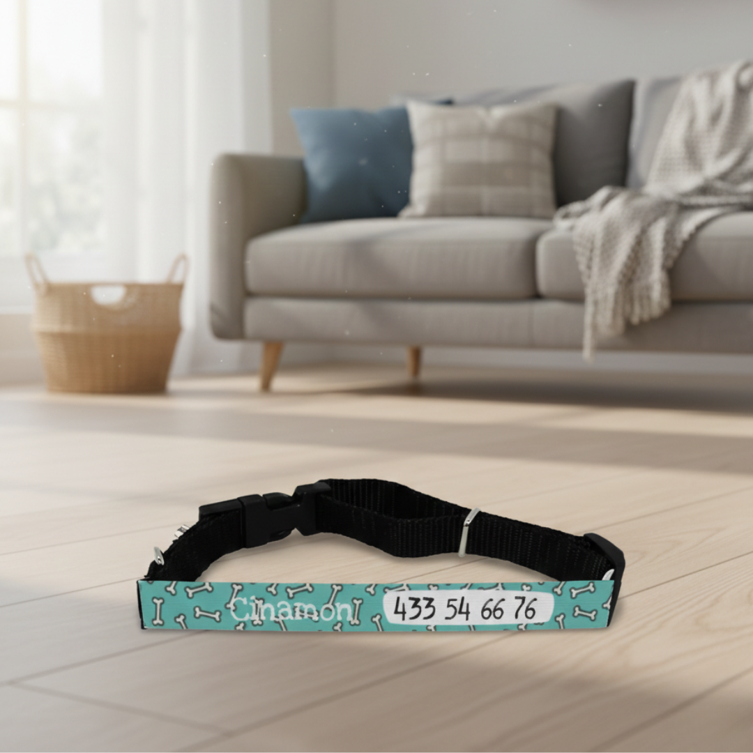 Collar perro personalizado - Imagen 3