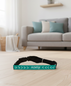 Collar perro personalizado - Imagen 4