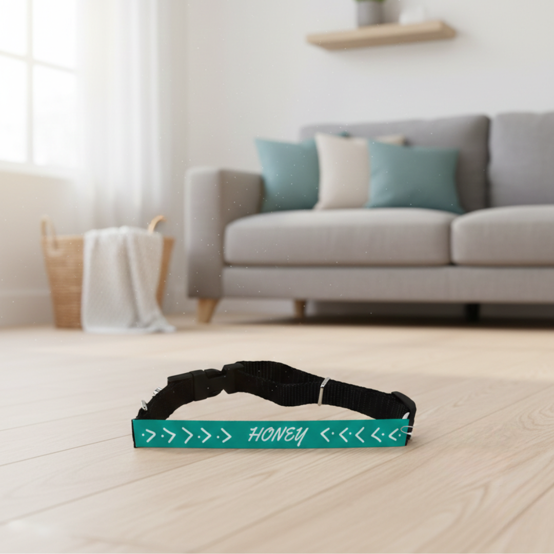 Collar perro personalizado - Imagen 4