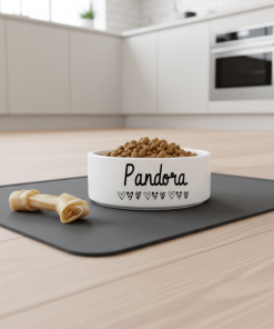 Comederos personalizados para perros y gatos