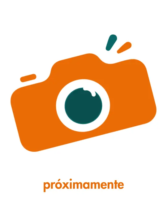 Sin categorizar