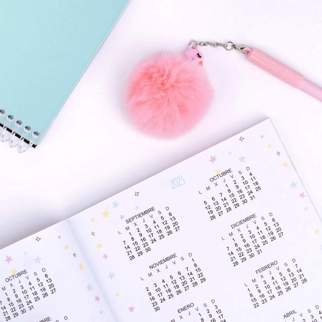 Agendas personalizadas - Imagen 23