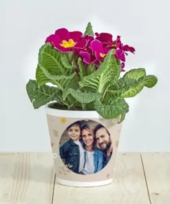 Maceta cerámica personalizada