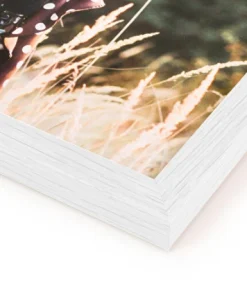 Cuadros personalizados con marco de madera - Imagen 11