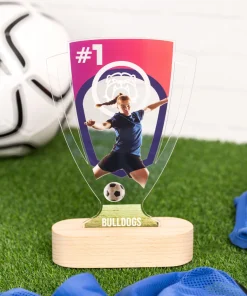 Trofeo de metacrilato personalizado con base de madera - Imagen 47