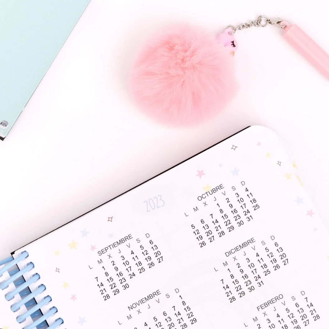 Agendas personalizadas - Imagen 40