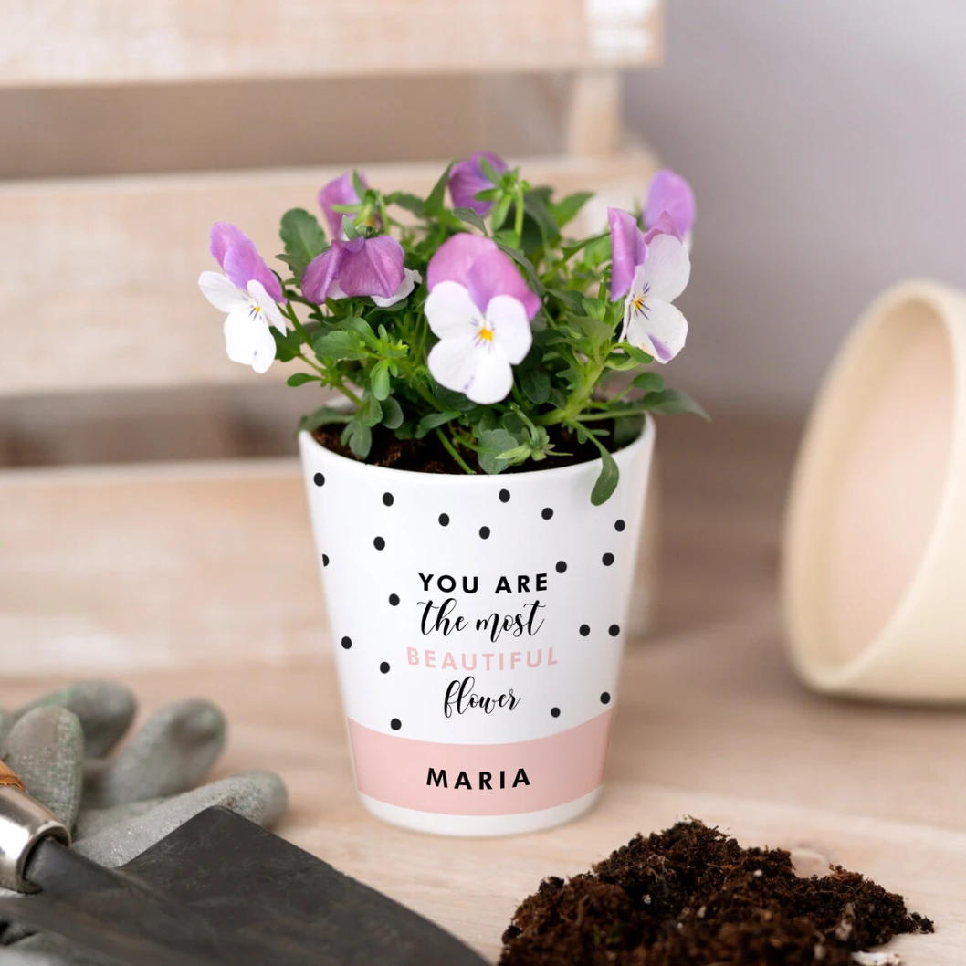 Maceta cerámica personalizada - Imagen 2